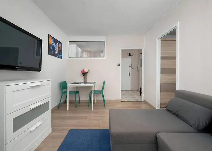 Functional With A View Of The In A Quiet Area Of By Renters Apartament